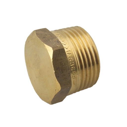 Screwed Plug Hex DR Brass